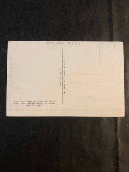 Antigua Postal Bariloche Nahuel Huapi. 53589 1
