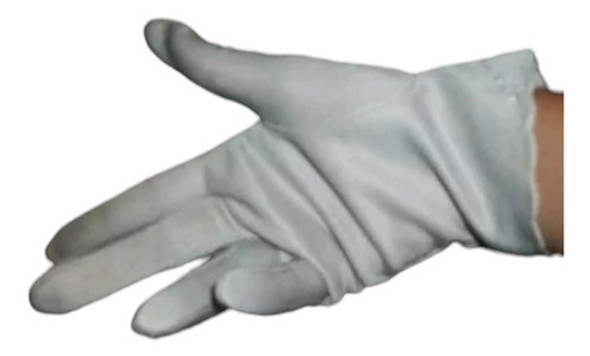 Antiguos Guantes De Seda Bordados 0
