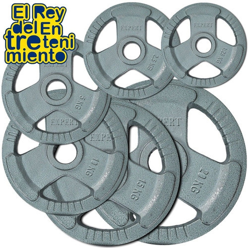 Discos Pesas 20kg Hierro Importados Pintados El Rey 1