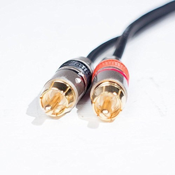Sísmica Saxmrm-2 X 3 3 Doble Cable Xlr Hembra Un Parche Rca 1