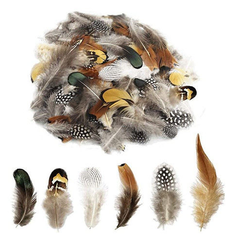 180 Plumas Naturales De 6 Estilos Variadas Para Atrapasueñ. 0