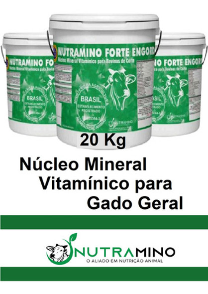 Nucleo Mineral Suplemento Mineralizar Sal Gado Geral  20 Kg 1 Nucleo Mineral Suplemento Mineralizar Sal Gado Geral  20 Kg 1