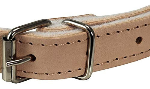 Perros My Love Collar De Perro Acolchado De Fieltro De Cuero 1