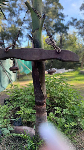 Colgante De Lampara Rustico De Pinotea 0