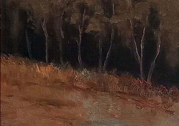 Pintura A Óleo Sobre Tela. Paisagem-50x50cm. Irisney Bosco 1