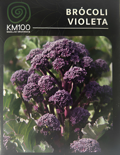 Semillas Orgánicas De Brócoli, Violeta 1
