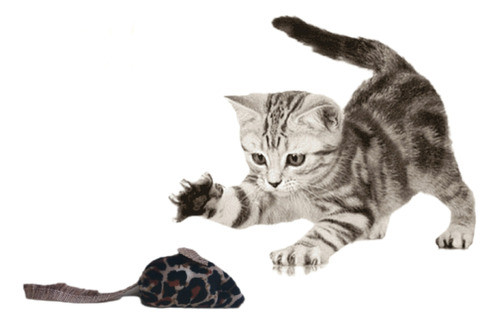 Juguéte  Para Gátos Páck X 8 Unidades 0