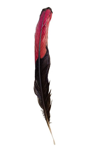 Kit Com 10 Penas De Aloko - Africana P/ Fundamento Candomblé 1