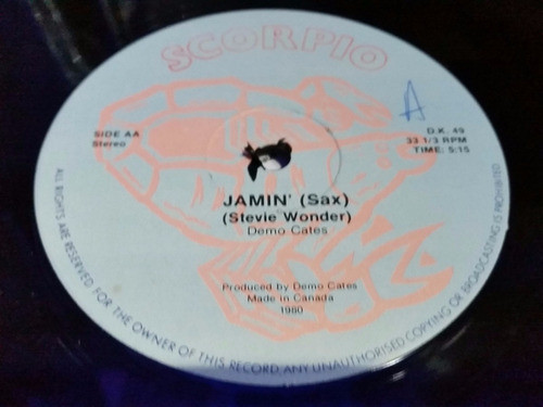 Demo Cates Jamin Stevie Wonder Maxi Vinilo Muy Raro Temon 0