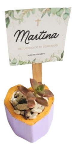 Souvernir Maceta De Yeso 5x5 Cubo Con Suculentas X10 Unid 1