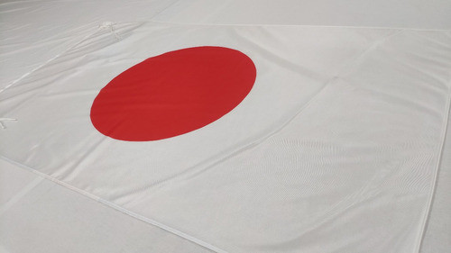 Bandera De Japón 90 X 60 Cm Hacemos De Todos Los Países 1