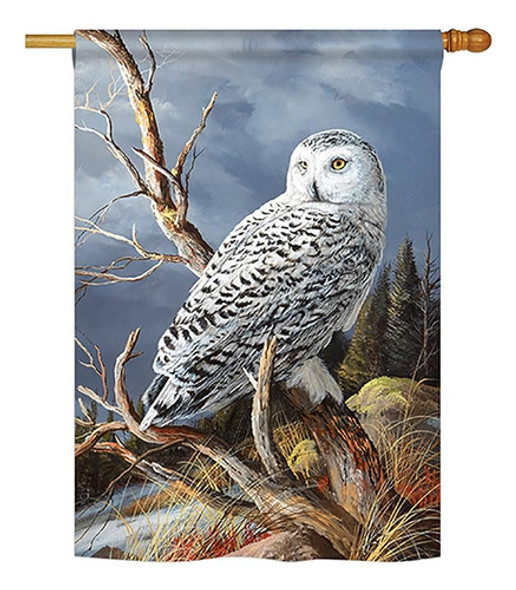 ~? Breeze Decor H105051-bo Superior Vantage Owl Garden Frien 0