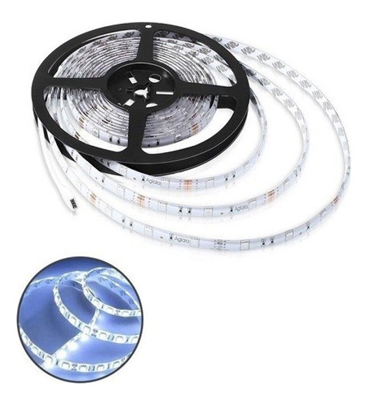 Rollo De Led (300 Led) 5 Metros - Blanco 12v - Lux Led 0