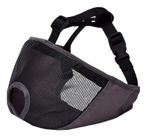 Bozal Perro Ocico Chato, Bulldog Frances, Ingles 0