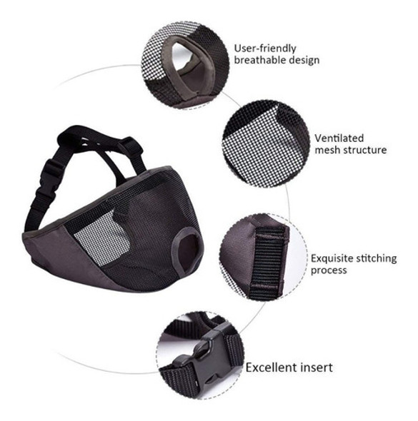 Bozal Perro Ocico Chato, Bulldog Frances, Ingles 1