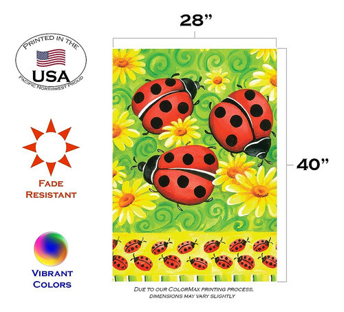 Toland Home Garden 108233 Mariquitas En La Bandera De Mariqu 1