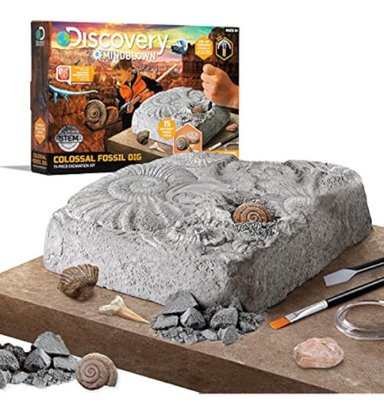 Discovery #mindblown - Juego De Excavación De 0