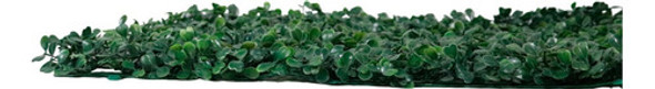 Muro Ingles Buchinho Artificial 60x40 Placa Grama Kit C/ 12 1