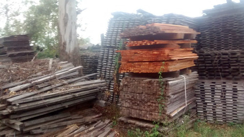 Tabla Madera Dura Seca Rostrata Medidas Vs Productor-stock 0