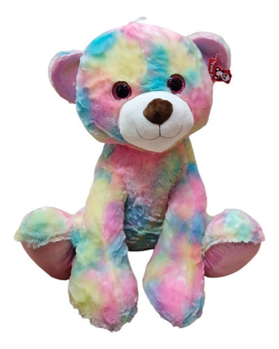 Peluche Oso Multicolor Grande Sentado 60cm Ft040003 1