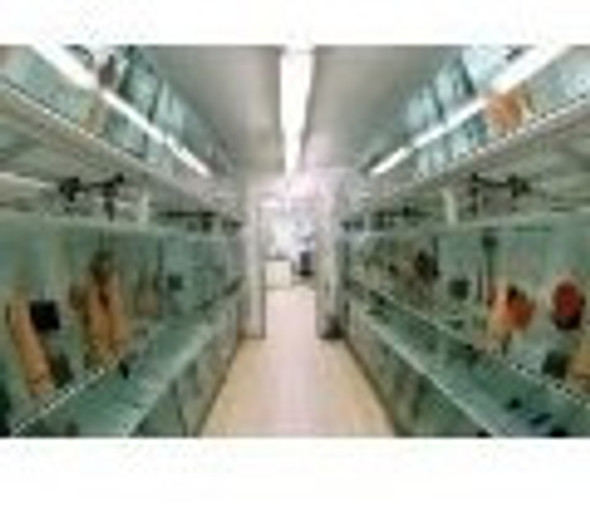 Khulli Pura Surtida Super Hot Sale Mundo Acuatico 1