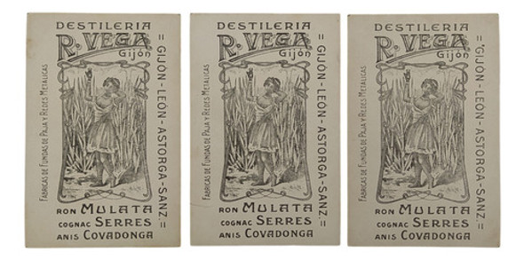 Tarjetas Postales Destilería R. Vega Gijón Ron Mulata Cognac 1 Tarjetas Postales Destilería R. Vega Gijón Ron Mulata Cognac 1