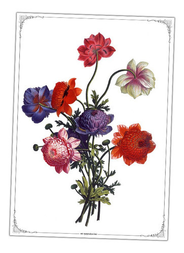 #03 - Flores Vintage - Lámina Para Transferencias 30 X 40 Cm 0