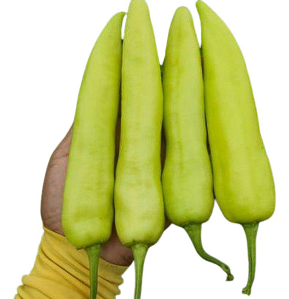 100 Sementes De Pimenta De Cheiro Alongada. 0