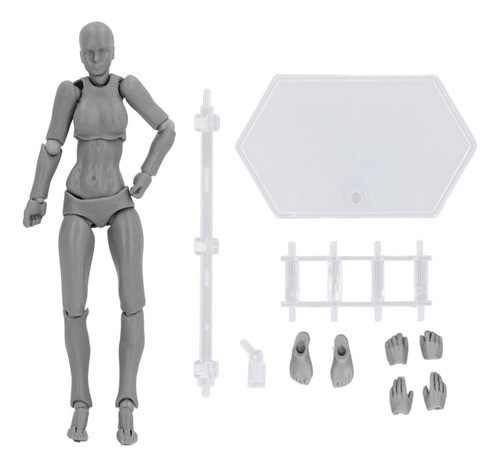 Figura De Ação: Modelo De Corpo, Modelo De Desenho Em Pvc, J 0