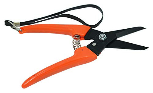 Zenport Q91 Zenmagic Ultra Twig Y Cizalla Para Recortar Los 1