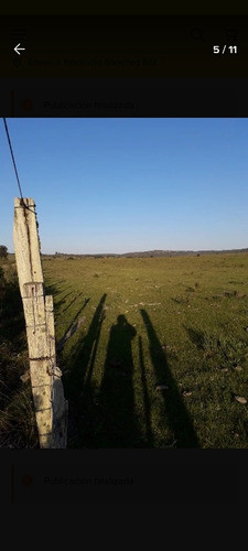 Oferta Unica Campo 16,5 Hectareas Con Aguada Permanente 1