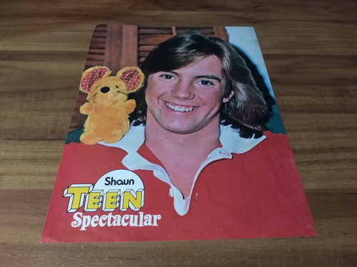 (mp557) John Travolta * Shaun Cassidy * Poster Pinup 28 X 21 1