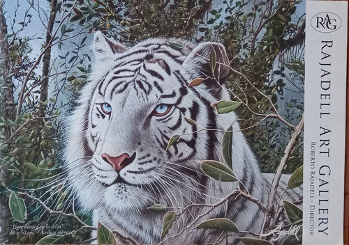 Catalogo Rajadell Art Gallery 0