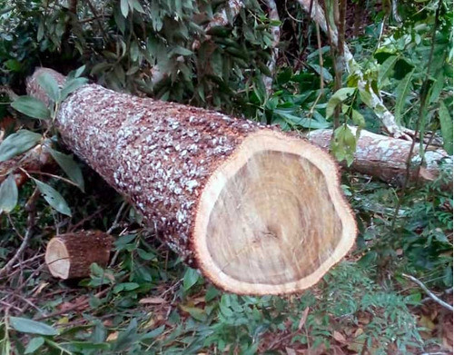Tablones De Acacia Para Barras ,bachas Y Mesadas 1