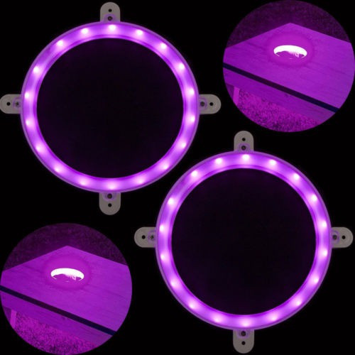 Pack De 2 Atento Rosa Led Maíz Agujero Luz Conjunto De Luces 1