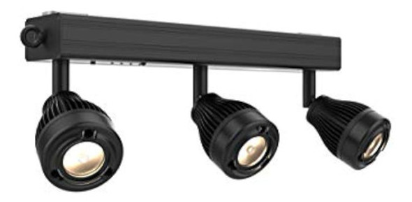 Unidad De Luz De Escenario Chauvet Dj, Negra (ezbar) 0 Unidad De Luz De Escenario Chauvet Dj, Negra (ezbar) 0