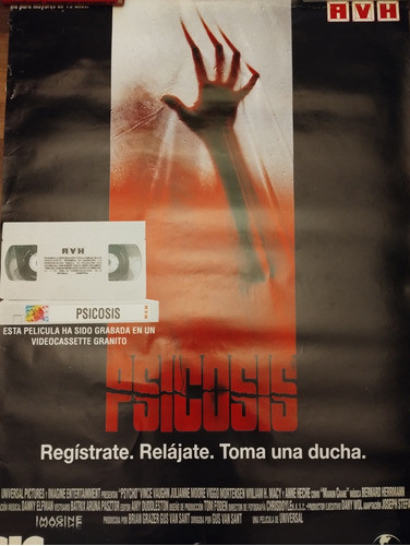 Poster De Película Psicosis Terror 0