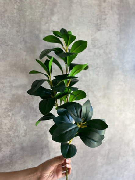 Rama De Peperomia Artificial Decoración 1
