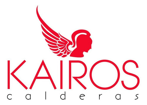 Radiador Calefaccion Peisa Broen 500 Negro X 3 Elementos 1