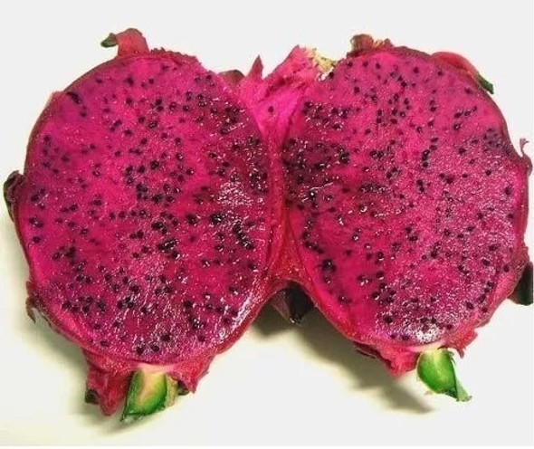 Frete Grátis Pitaya Roxa Sementes De Frutas P/ Mudas 0