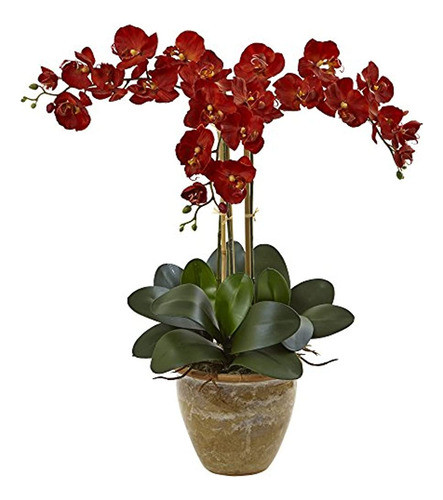 Arreglo De Seda De Phalaenopsis De Tallo Triple Casi Natural 0