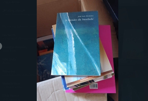 A Erosão Da Saudade De José Luis Pela Massao Ohno (1997) 0