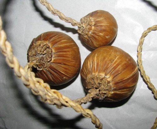 Boleadoras Antiguas De Piedra De 3 Puntas 1