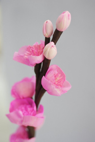 Varillas Flor Durazno Para Difusores De Aromas 1