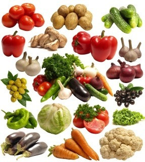 Berenjena - Vegetales - Ilustración 1911 - Lámina 45x30 Cm. 0