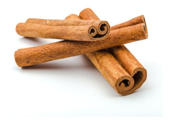 Muda De Canela Da Índia Altura De 0,30 Cm A 0,80 Cm 1