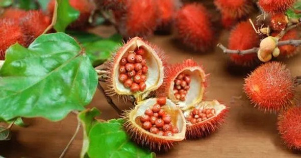 Semillas De Urucum 500g 1