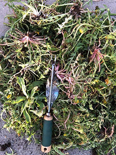 Edward Tools Weeding Tool La Base De Metal De Palanca Crea U 1