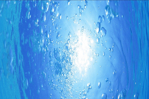 Painel Praia  1,20 X 0,60 Fundo Do Mar Multi 1