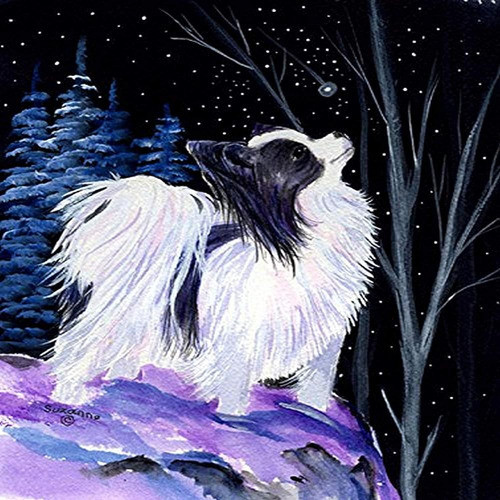 Caroline's Treasures Ss8383gf Starry Night Papillon Garden F 0